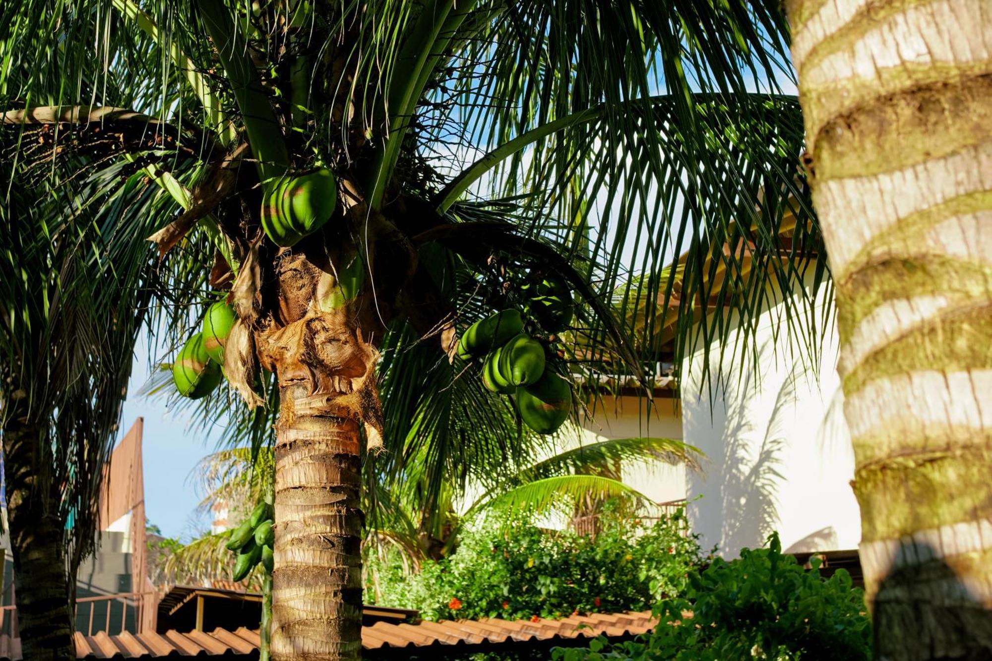 Velinn Hotel Natureza Foz Foz do Iguaçu Eksteriør bilde