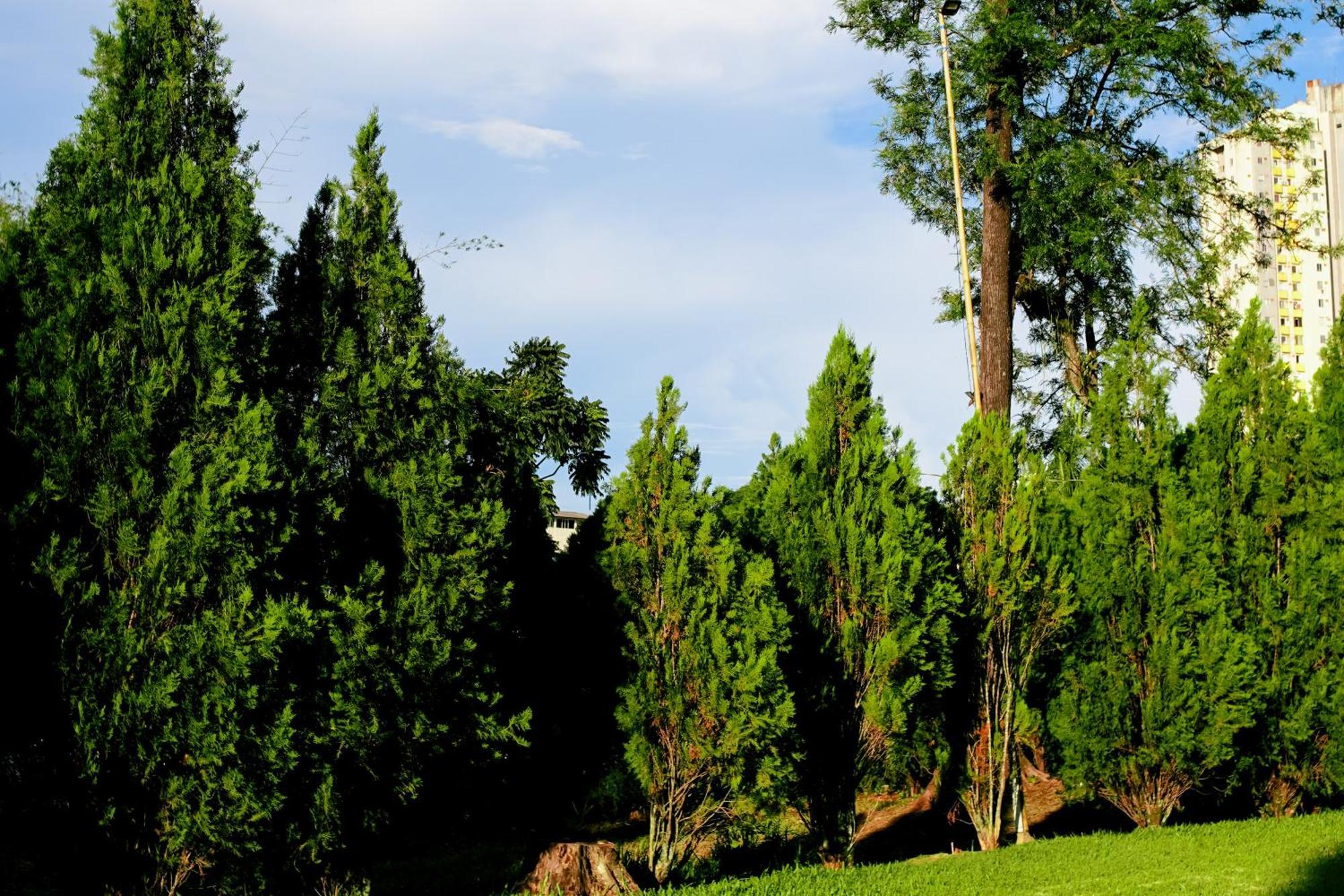 Velinn Hotel Natureza Foz Foz do Iguaçu Eksteriør bilde